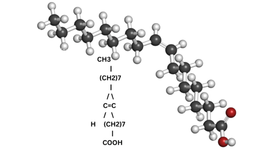 Top 10 benefits of oleic acid for skin and Human body